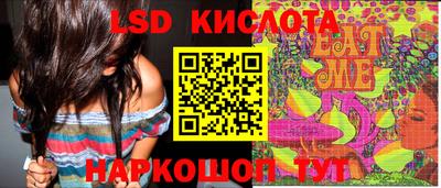 PSILOCYBIN Кунгур