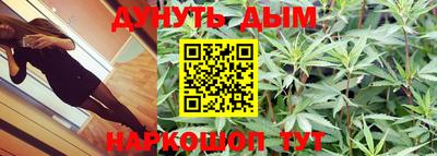 PSILOCYBIN Кунгур