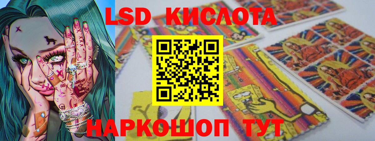 omg ТОР  ЛСД экстази ecstasy  LSD-25 экстази  Вход с VPN  LSD-25 экстази кислота  Камышлов 