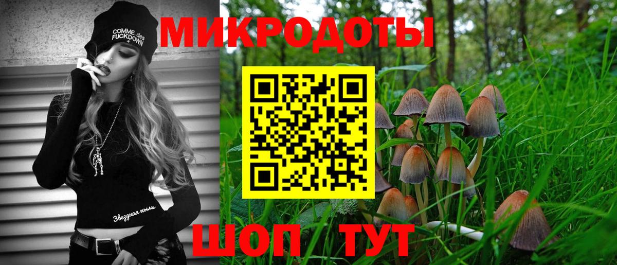 Галлюциногенные грибы Psilocybine cubensis  Вход с VPN  Галлюциногенные грибы Cubensis  Камышлов 